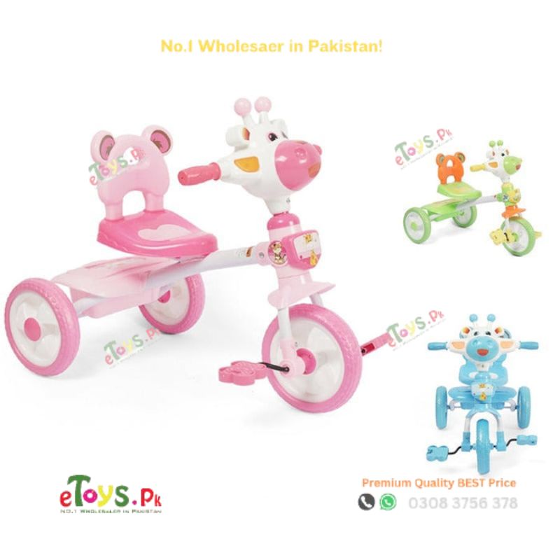 Tricycle In Pakistan