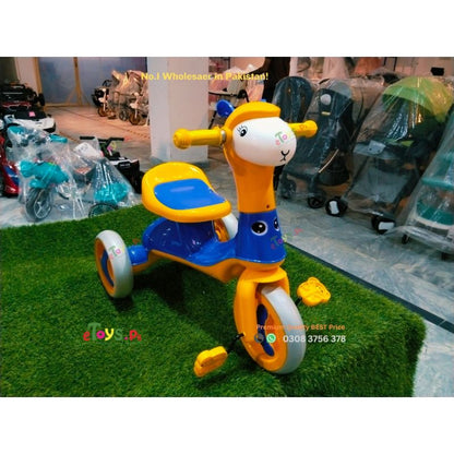 Best kids Tricycle in Pakistan