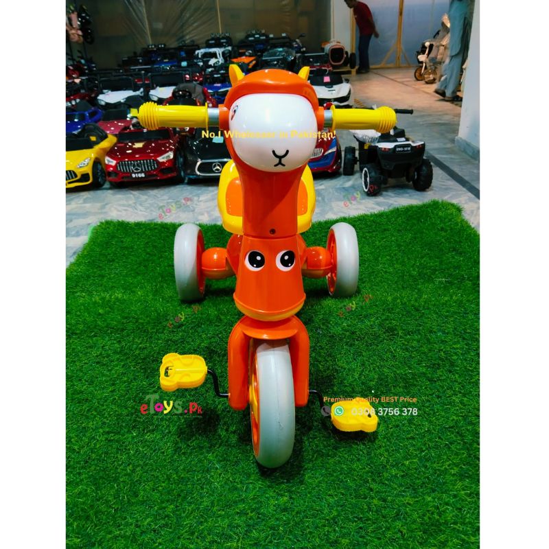 Kids Tricycle Price