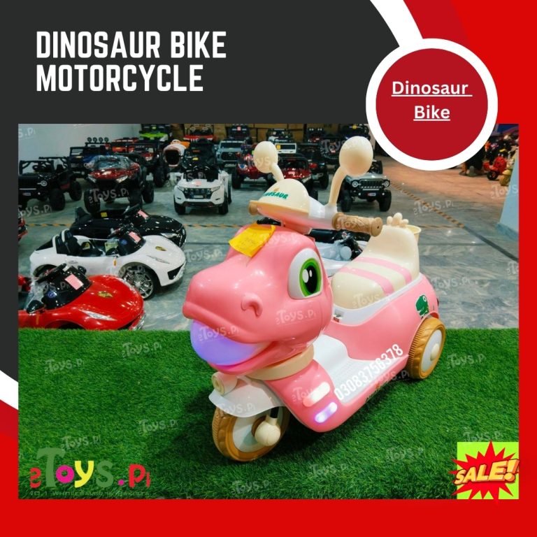 Cute Style Baby Bike