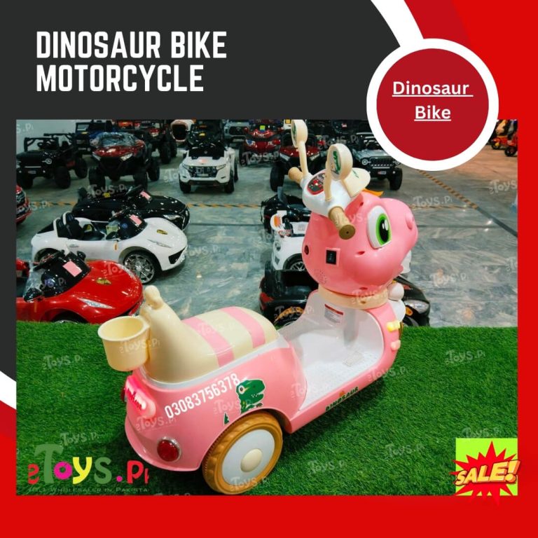 Cute Style Baby Bike