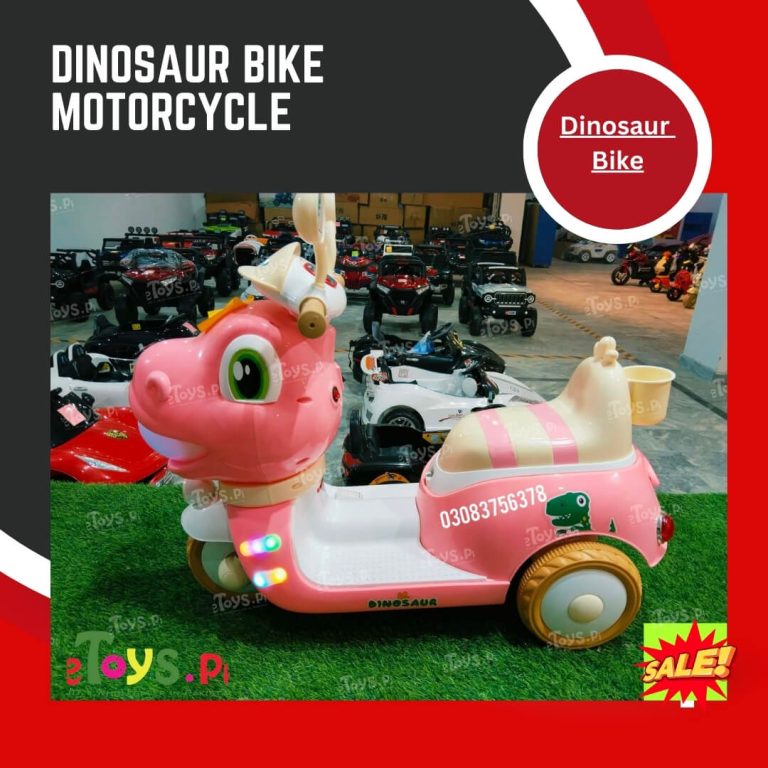 Cute Style Baby Bike