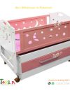 New Born Baby Cot With Price In Pakistan - Image 2