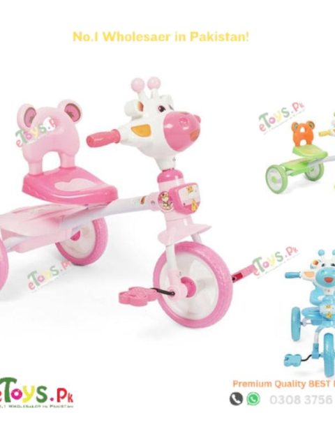 Tricycle-In-Pakistan