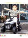 Mini Quad Bike for Kids Price in Pakistan