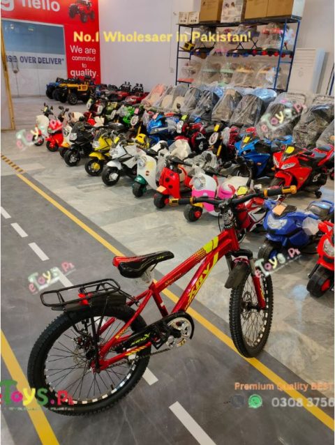 Kids-Cycle-8-to-12-Years-With-Shocks