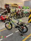Kids Cycle with Headlight 4 to 8 Years