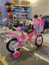 Barbie cycle for girls in pakistan